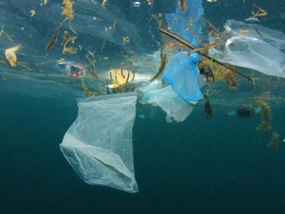 داستان تراژیک آلودگی پلاستیک؛ بازیافت راه نجات نیست