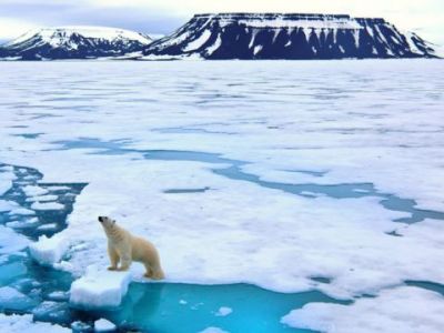 قطب شمال چهار برابر سریع‌تر از سایر نقاط جهان در حال گرم شدن است