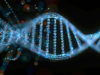 افراد شبیه‌ به‌ یکدیگر حتی بدون داشتن ارتباط خانوادگی، احتمالا DNA مشابهی دارند