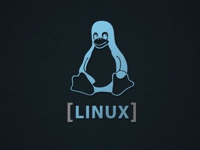 لینوکس کرنل 6 با پشتیبانی از پردازنده‌های رپتور لیک و معماری چینی LoongArch معرفی شد