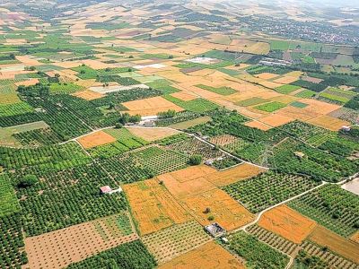رصد دو برابری اراضی کشاورزی با اتکا به سامانه پنجره واحد زمین