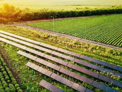  رشد شگفت‌انگیز محصولات در مزارع خورشیدی